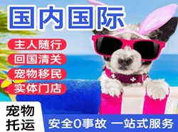 郑州航空快运国际宠物托运 【国